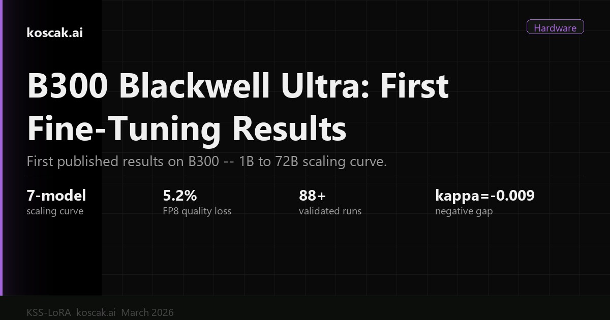 NVIDIA B300 Blackwell Ultra: First Fine-Tuning Results